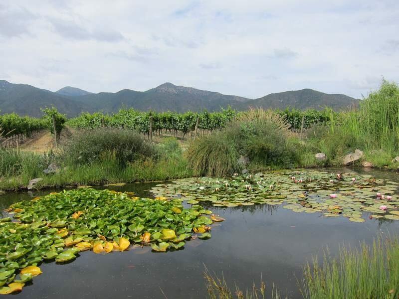 2012_12_18_10_40_00_000_800