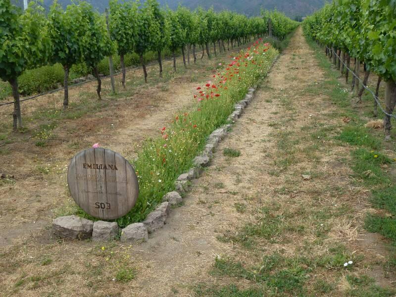 2012_12_18_11_06_00_800