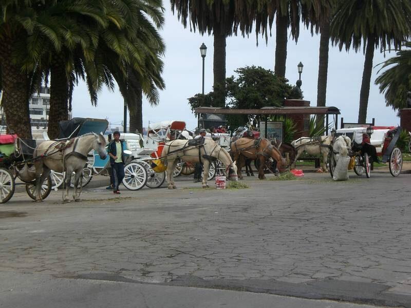 2012_12_18_17_01_00_1_800