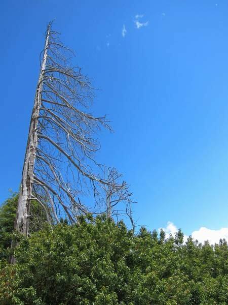 2012_12_20_15_27_00_800