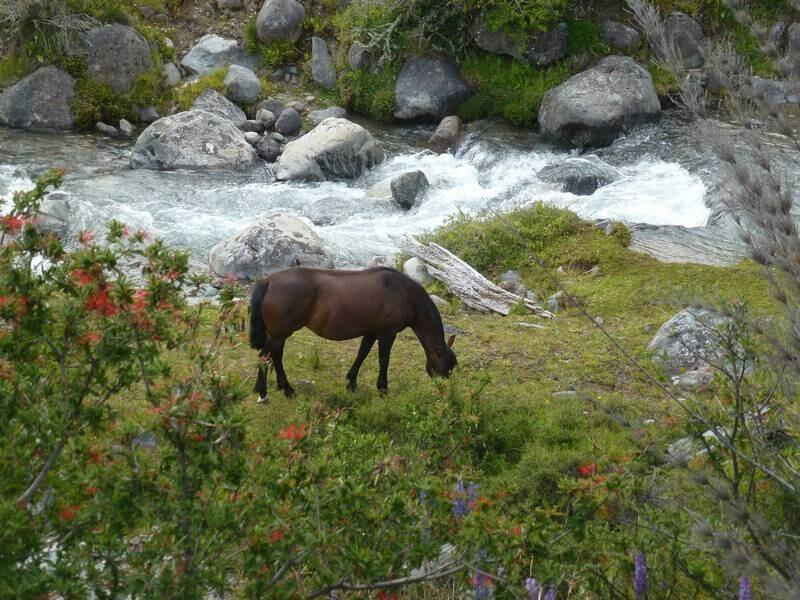 2012_12_23_16_58_00_2_800