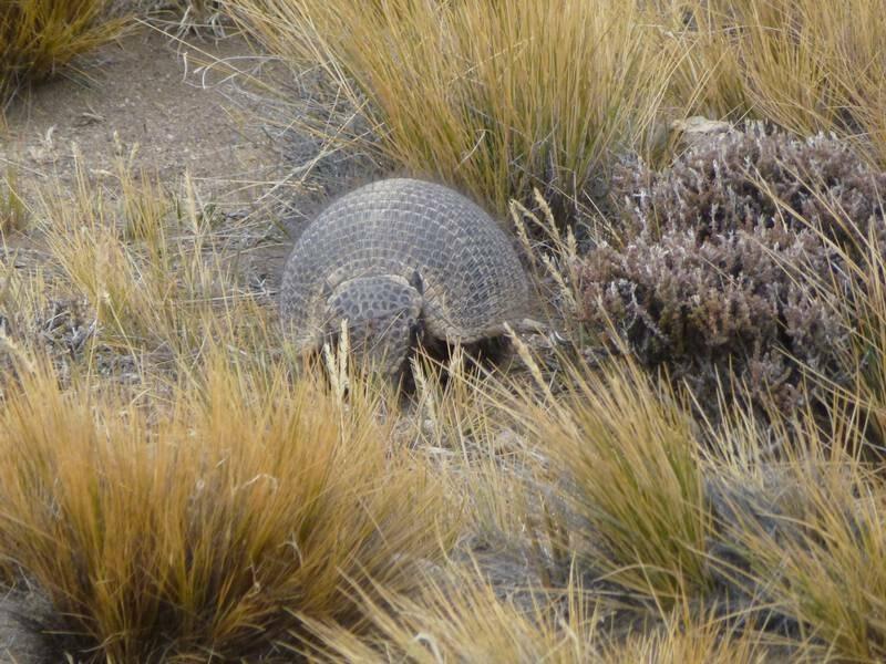 2012_12_25_15_54_00_2_800