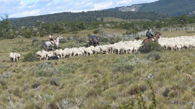 2012_12_29_13_11_00_800