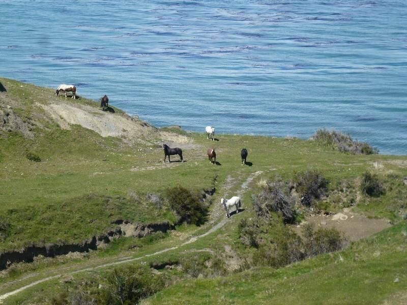 2012_12_30_13_30_00_1_800