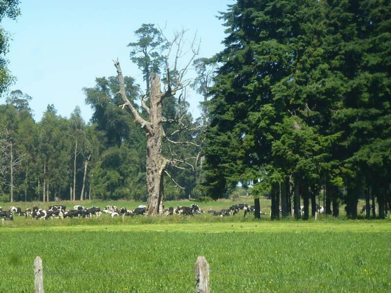 2013_01_10_11_59_00_1_800