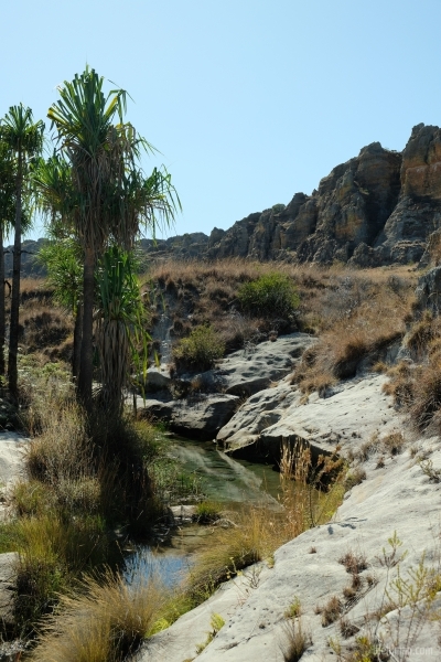 Madagascar_08-2022_415