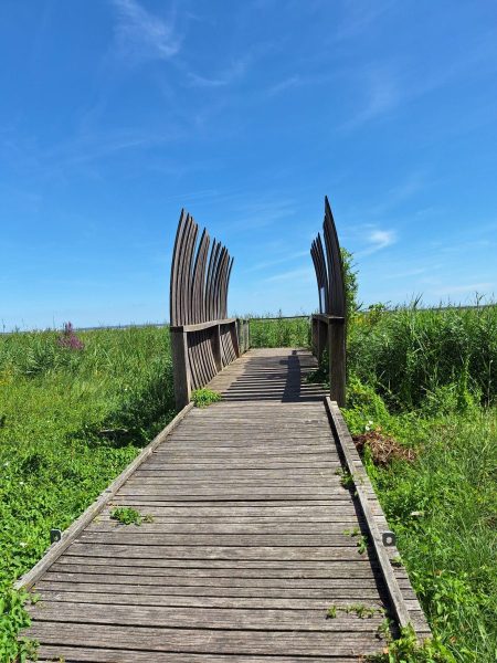 France_202407_60-scaled